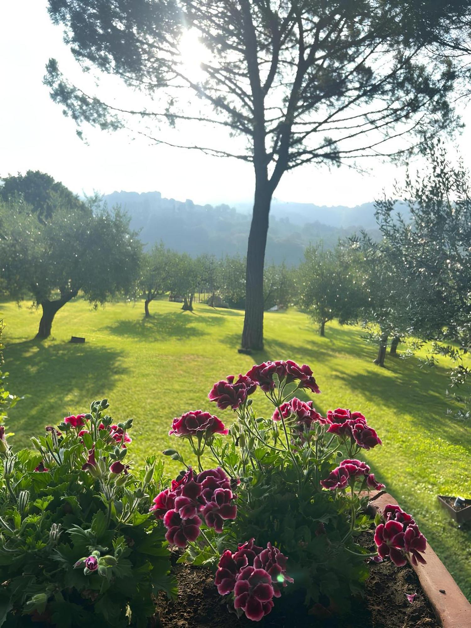 Santa Maria Degli Ancillotti Guest House Petrignano Bagian luar foto